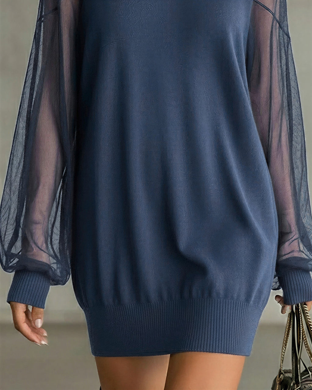 Priscilla - Women Sheer long sleeves with a knit bodice Dress